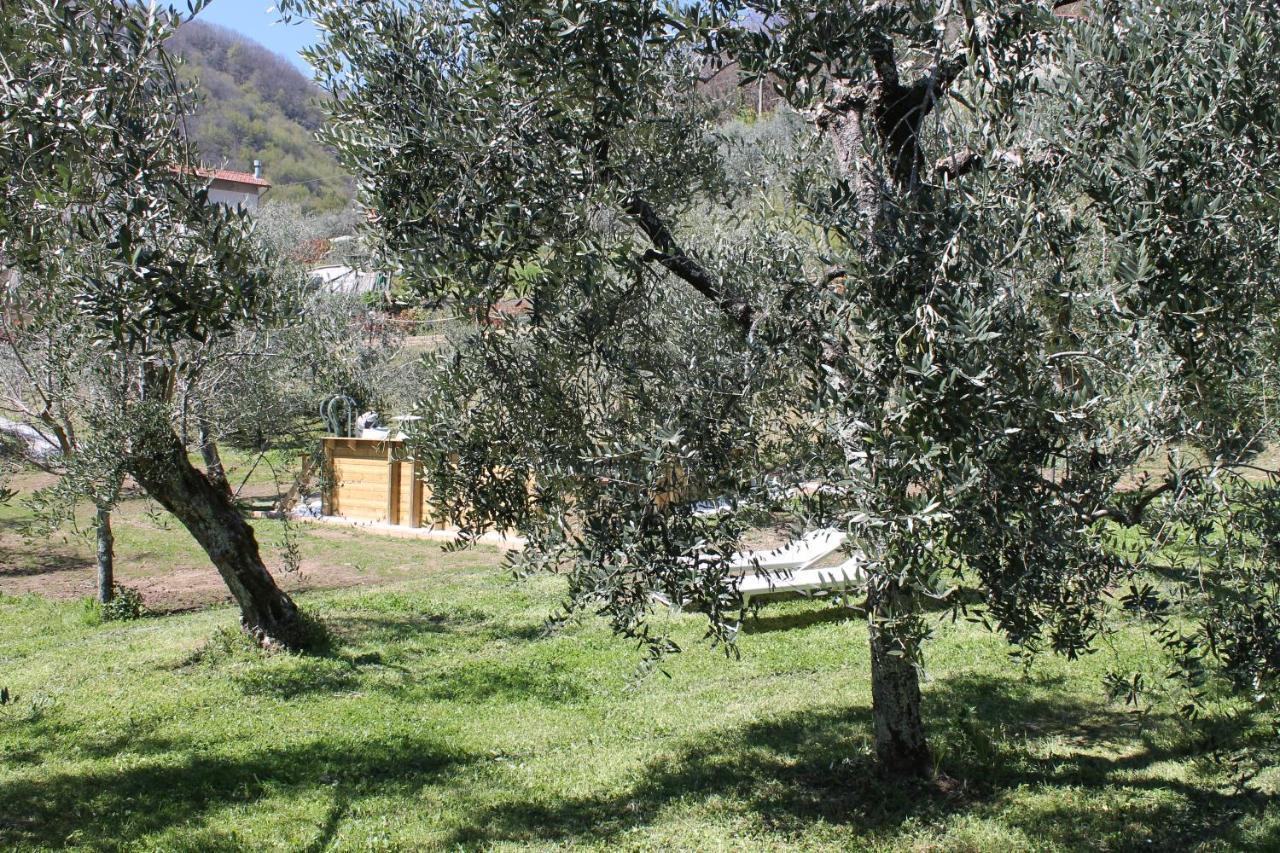Shaleo Holiday Home Marliana ภายนอก รูปภาพ